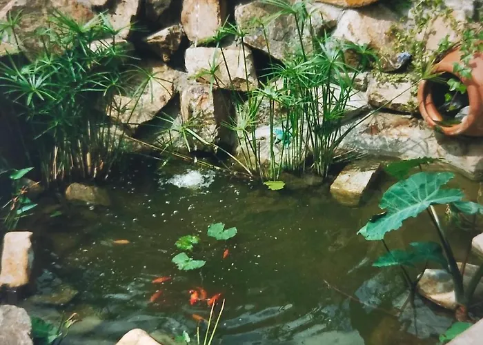 Caserio Burgo Goikoa 2 Apartment *